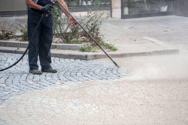 Pre-Holiday Cleaning in Maywood, NJ
