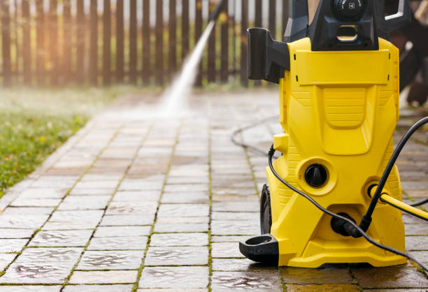 Animal Enclosure Cleaning in Maywood, NJ
